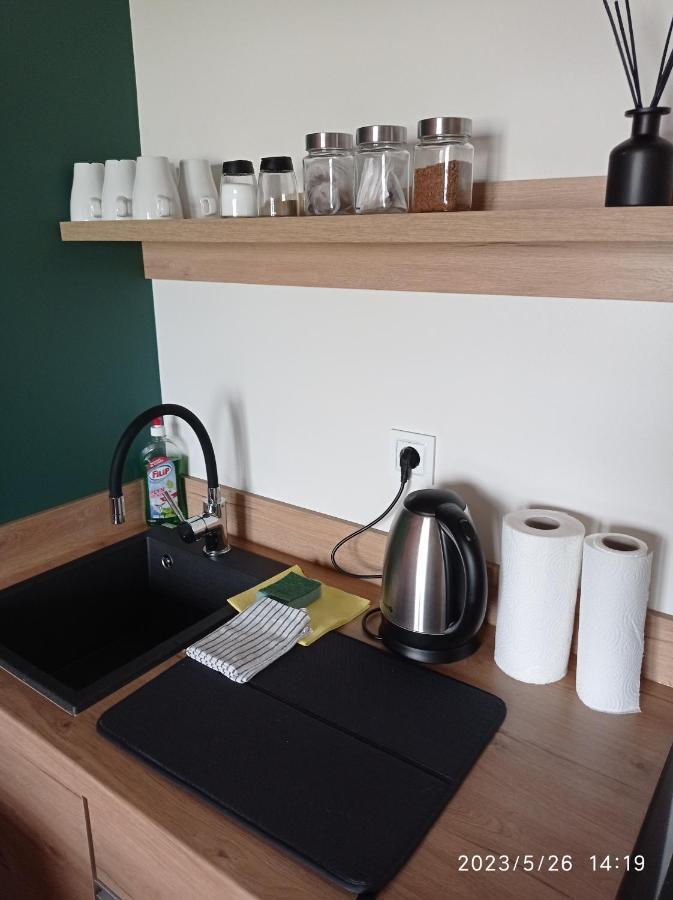 Villa Loft Park Zator, Lokalizacja Przy Wej Parku Extérieur photo